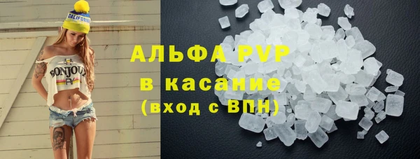 эйфоретик Богданович
