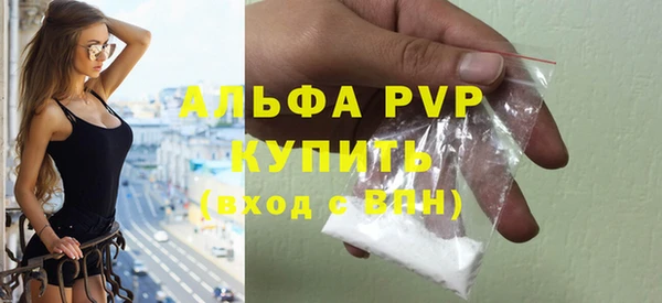 эйфоретик Богданович