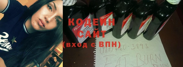 эйфоретик Богданович