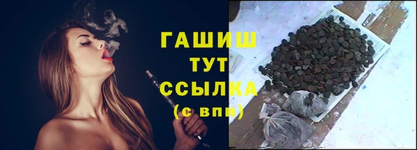 эйфоретик Богданович