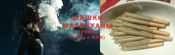 молекула духа Богородск