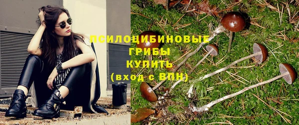 молекула духа Богородск
