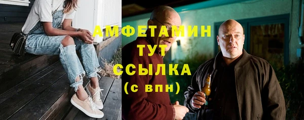 молекула духа Богородск