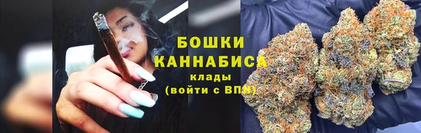 молекула духа Богородск