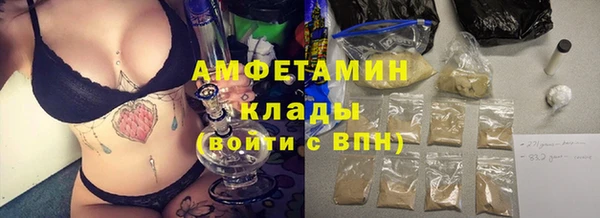 эйфоретик Богданович