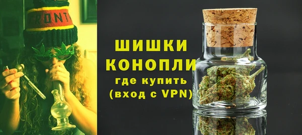 молекула духа Богородск