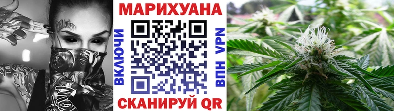 Канабис сатива Ачинск